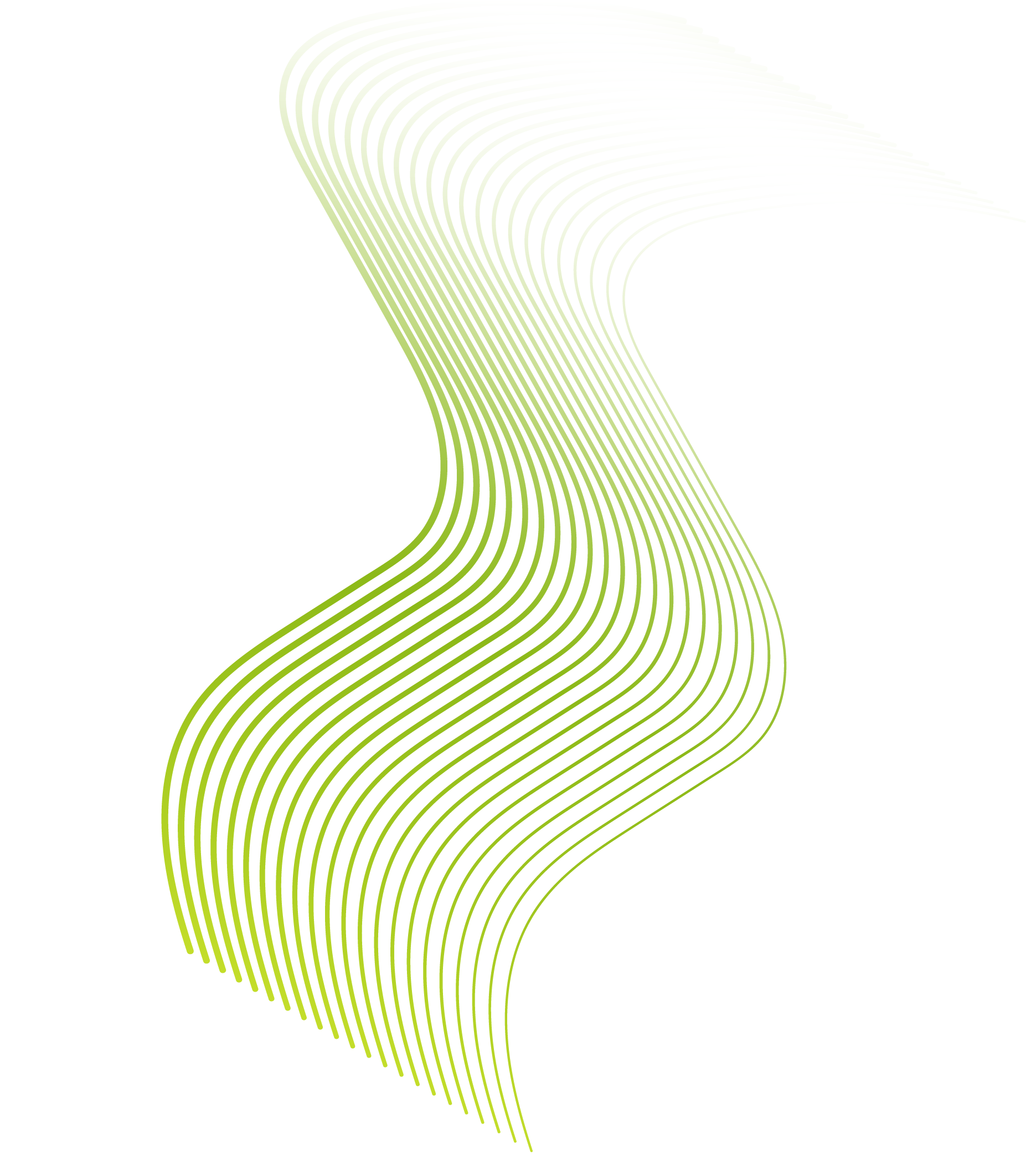 shape